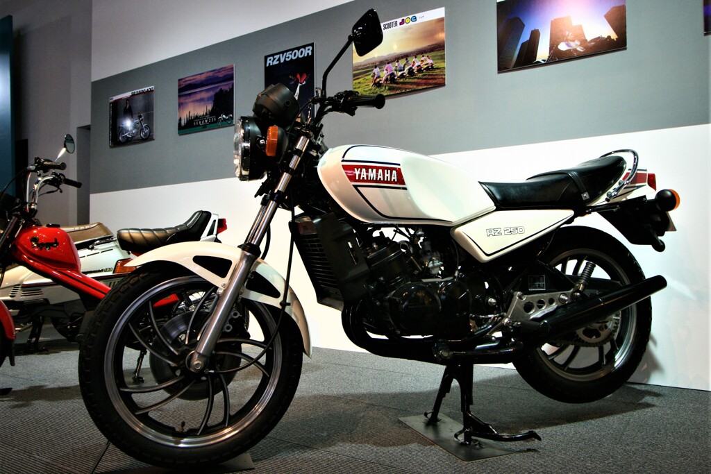 RZ250