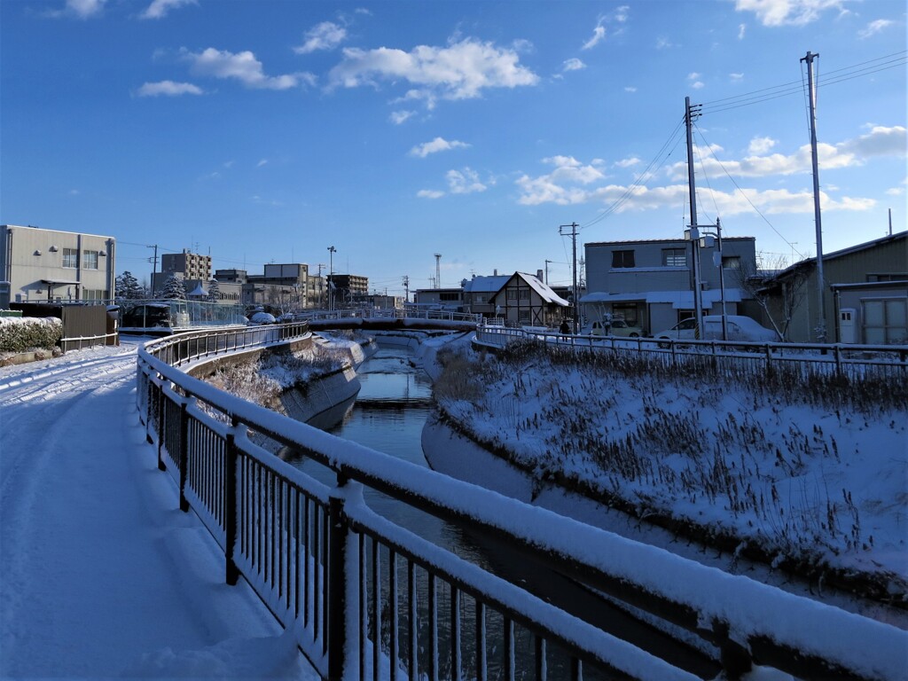 雪化粧