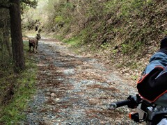 遭遇