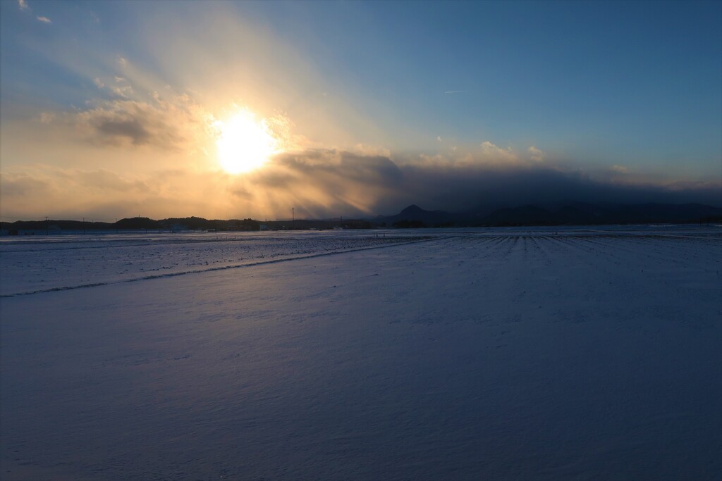 雪原