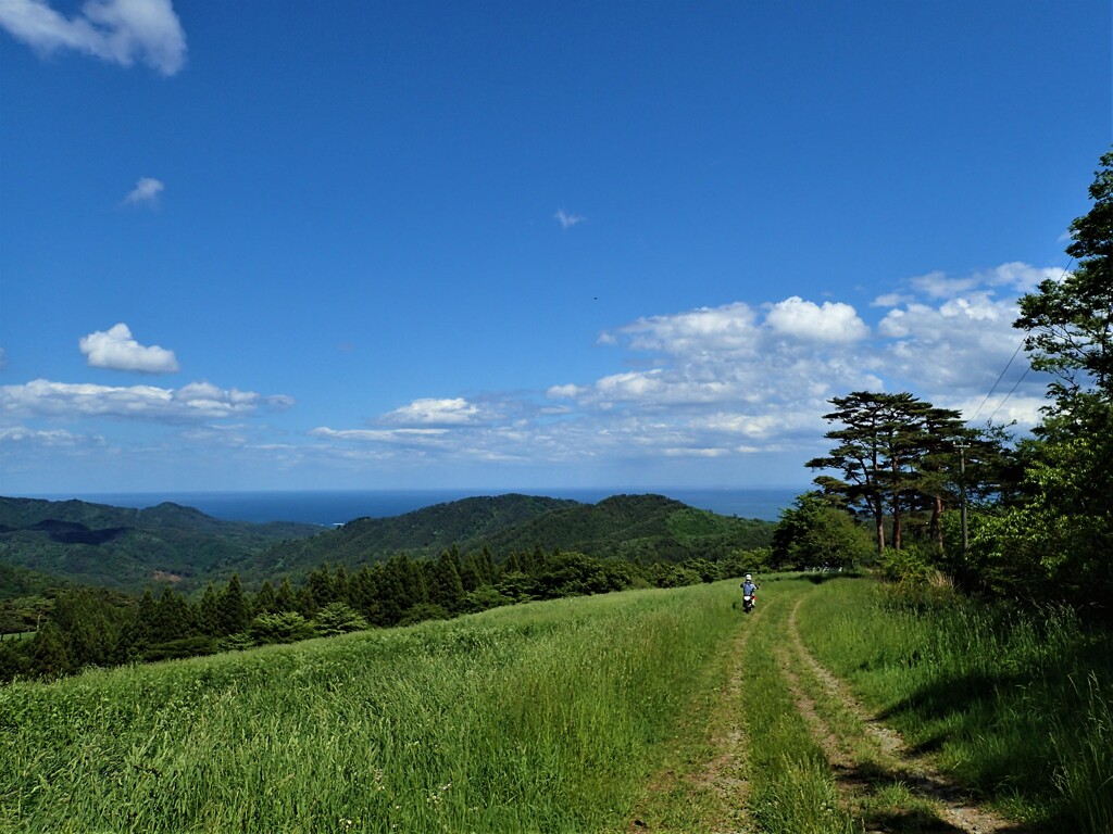 海が見える林道②