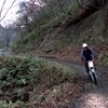 晩秋林道