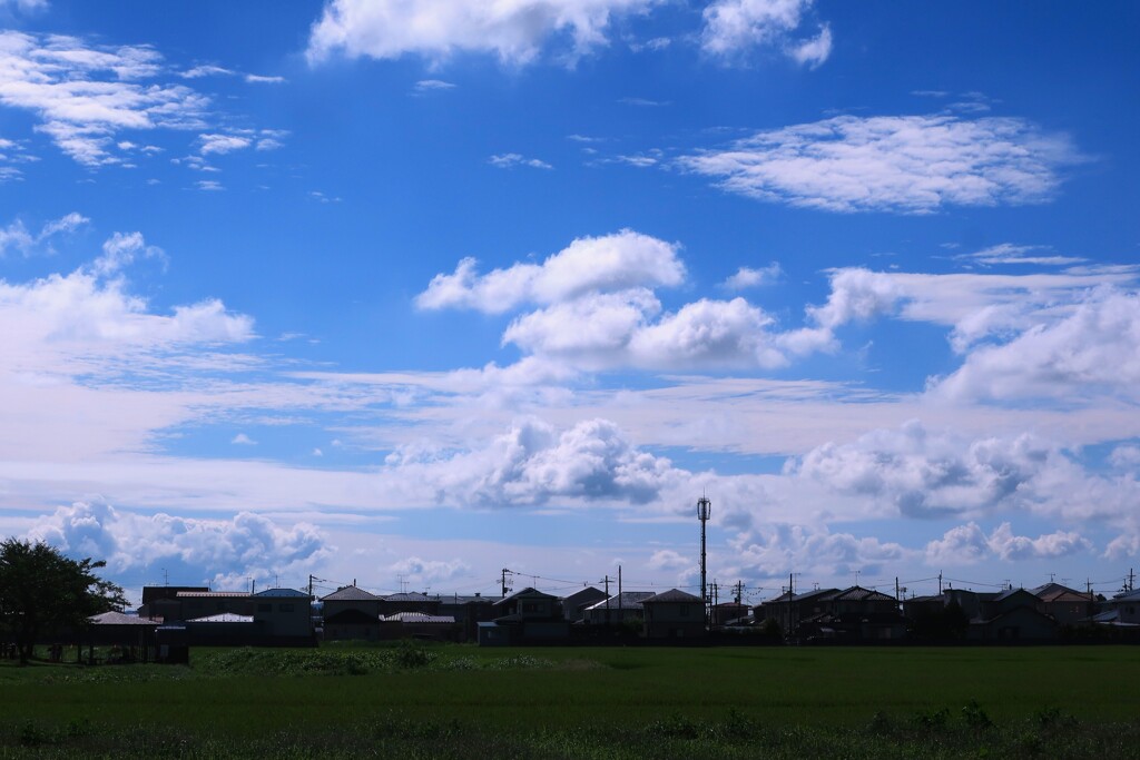 夏の空
