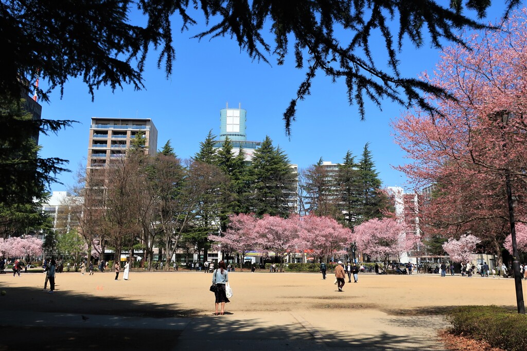 錦町公園