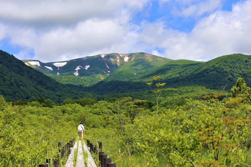 初夏の栗駒山