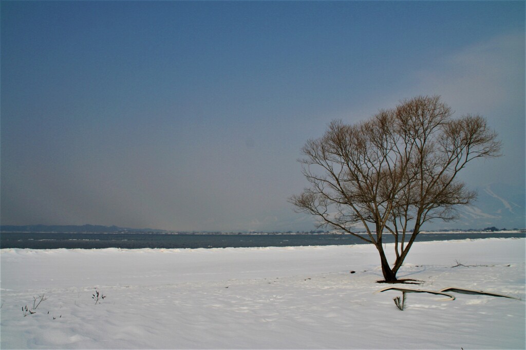 冬の湖畔