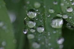 雫