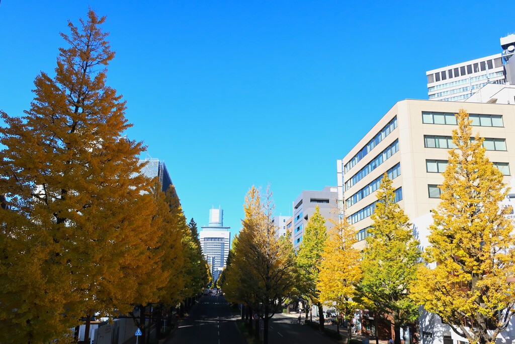 23紅葉⑥
