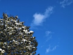 雪と青空