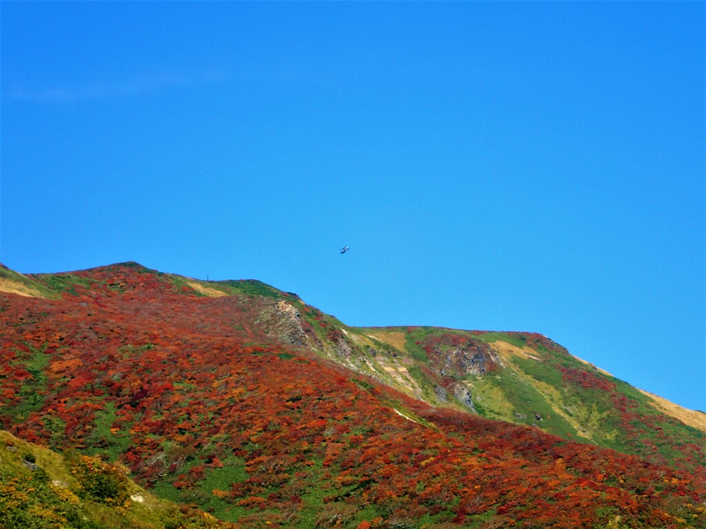 栗駒山