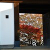 紅葉⑰