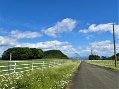 高原の道