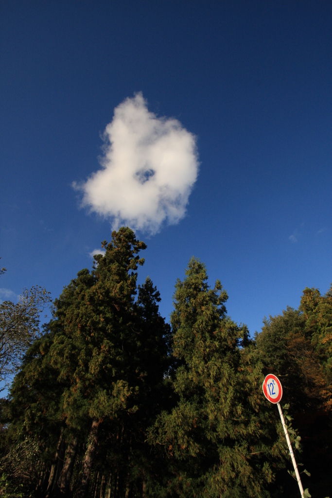 穴雲