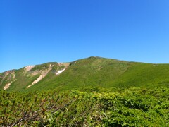 初夏の栗駒