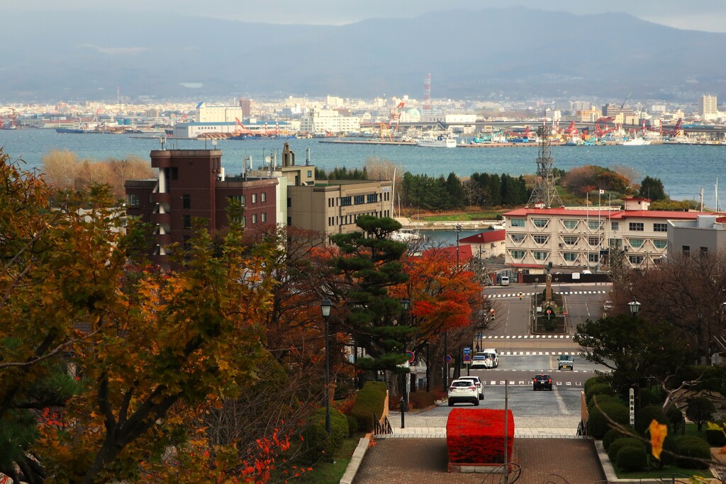 函館(基坂)