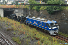 2025/10/25　8161　EF210-360