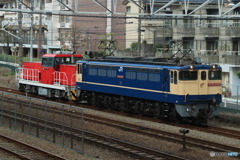 2024/04/17　単8677　EF65-2092+HD300-30