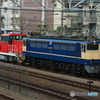 2024/04/17　単8677　EF65-2092+HD300-30