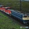2024/08/30　単8582　EF65-2068