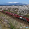 2024/04/13　3053　EH500-3