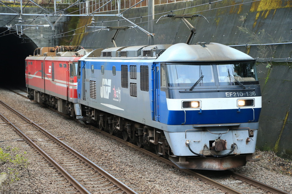 2022/11/24　単8283　EF210-136+EH800-5