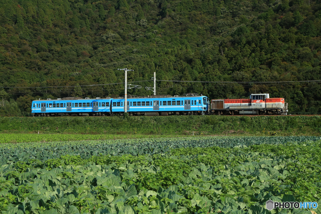 2024/10/28　9863　DE10-1561
