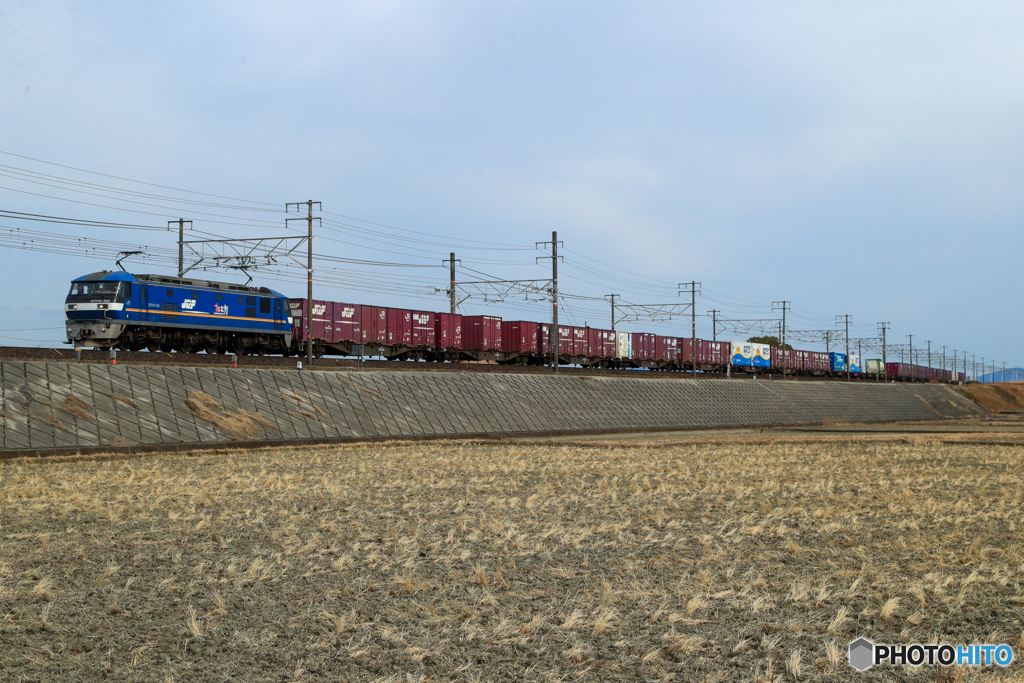 2025/02/16　2065　EF210-308