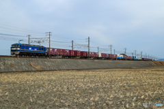 2025/02/16　2065　EF210-308