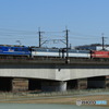 2023/02/27　単8283　EF210-124