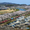 2024/04/13　7066　EH500-29