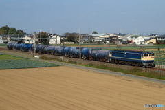2024/11/14　8764　EF65-2085_1/2