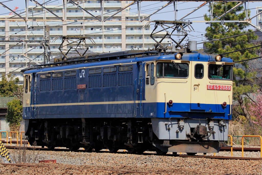 2022/03/12　単9584　EF65-2089