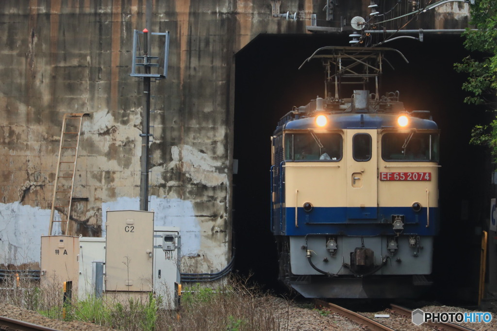 2024/05/20　単9772　EF65-2074