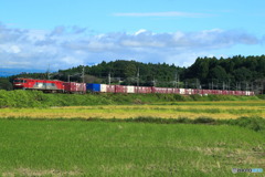 2024/09/23　3080　EH500-78