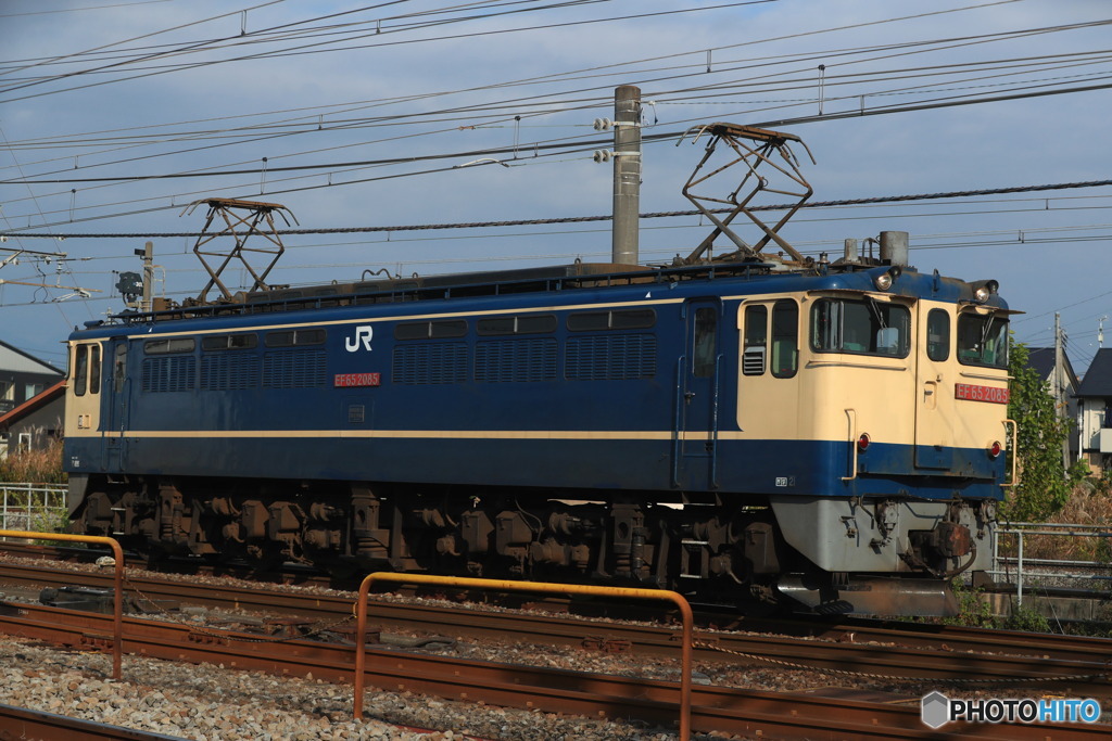 2024/11/14　単8764　EF65-2085