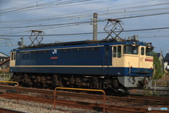 2024/11/14　単8764　EF65-2085