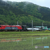 2025/05/10　9172　EH500-56