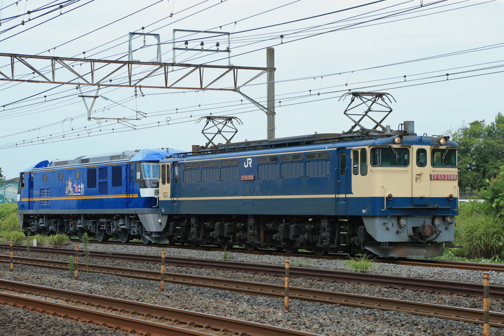 2022/08/06　8860　EF65-2088