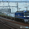 2024/08/22　配8592　EF210-348_1/2