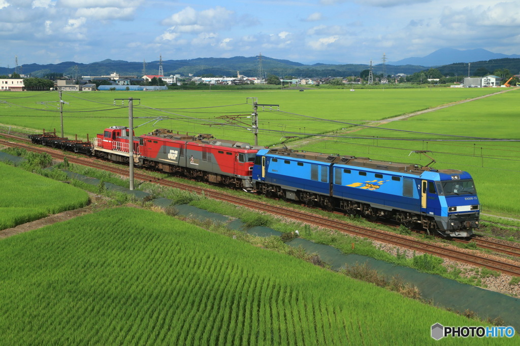 2024/07/20　配8788　EH200-13