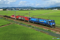 2024/07/20　配8788　EH200-13