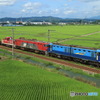 2024/07/20　配8788　EH200-13