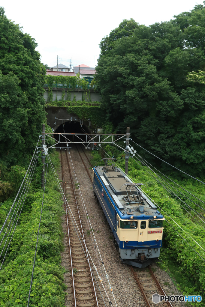 2025/06/14　単9463　EF65-2084