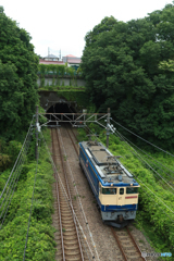 2025/06/14　単9463　EF65-2084