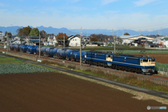 2024/11/27　8764　EF65-2083+EF65-2092