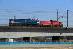 2025/02/13　単8283　EF65-2097+HD300-25