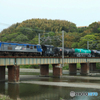 2025/04/20　9863　EF210-172_1/3