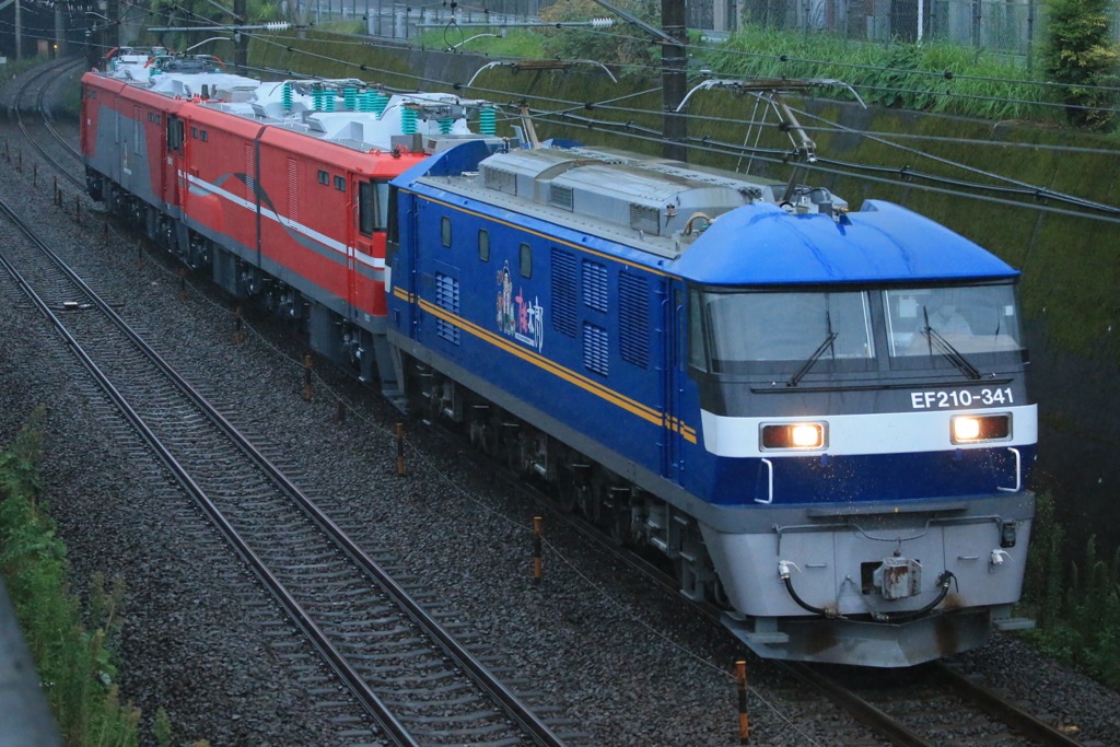 2022/08/04　単8282　EF210-341