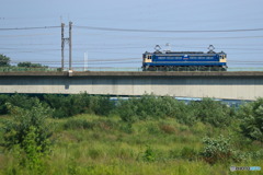 2024/08/11　単8582　EF65-2074