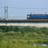 2024/08/11　単8582　EF65-2074